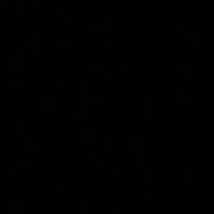 Meet your Posher, Mariam